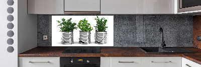 Cooker splashback Aromatic plants