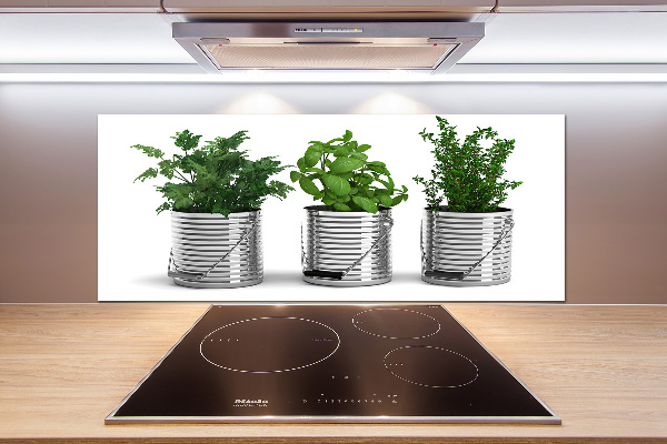 Cooker splashback Aromatic plants