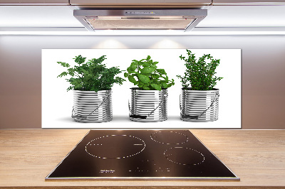 Cooker splashback Aromatic plants