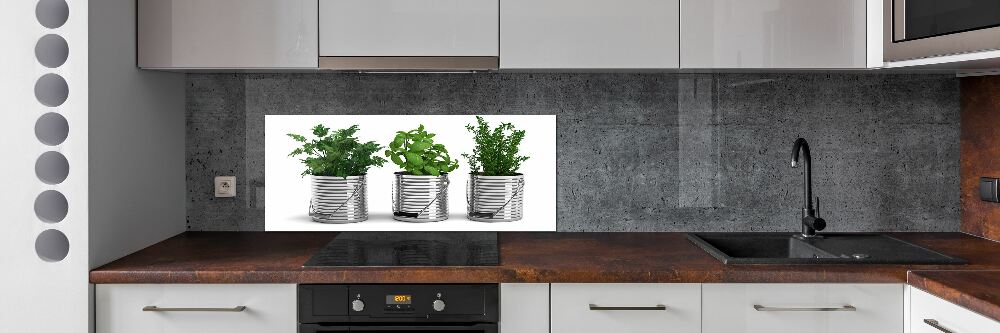 Cooker splashback Aromatic plants