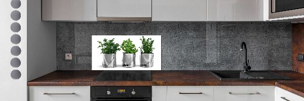 Cooker splashback Aromatic plants