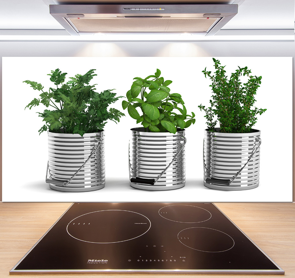 Cooker splashback Aromatic plants