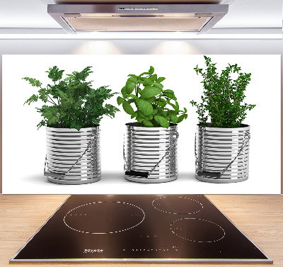 Cooker splashback Aromatic plants