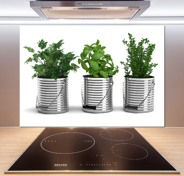 Cooker splashback Aromatic plants