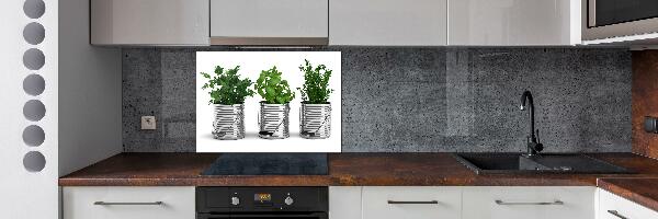 Cooker splashback Aromatic plants