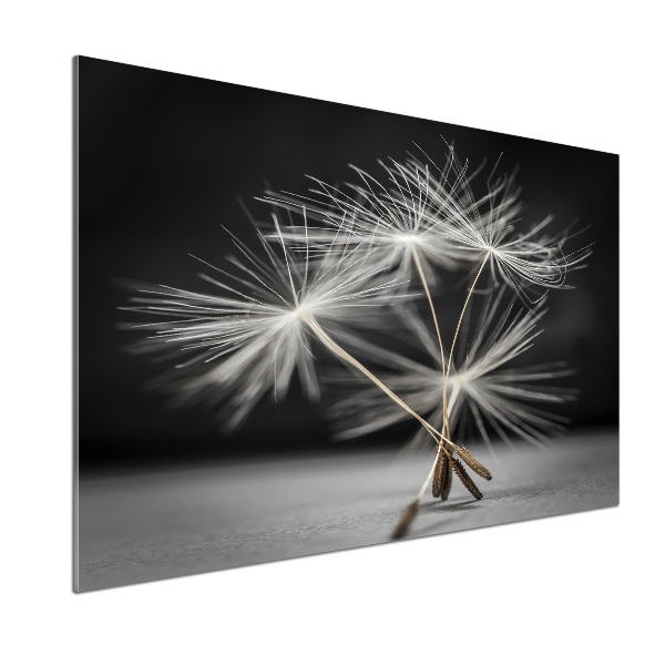 Kitchen wall panels Dandelion seeds