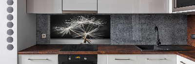 Kitchen wall panels Dandelion seeds