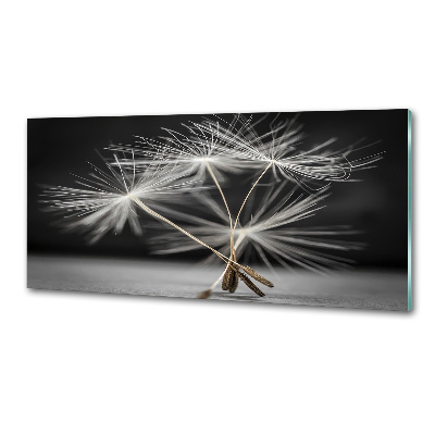 Kitchen wall panels Dandelion seeds