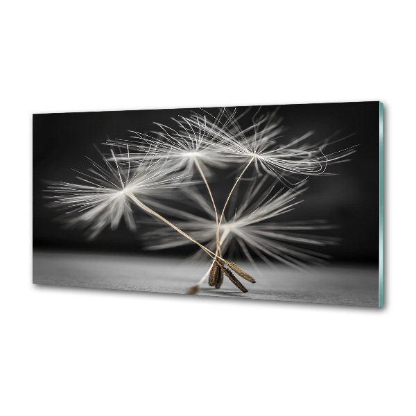 Kitchen wall panels Dandelion seeds