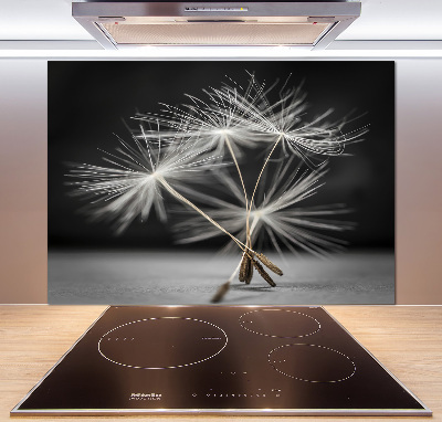 Kitchen wall panels Dandelion seeds