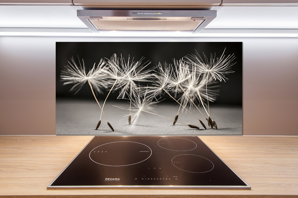 Cooker splashback Dandelion seeds