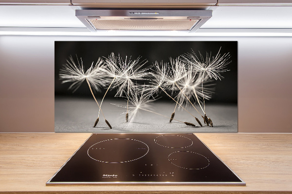 Cooker splashback Dandelion seeds