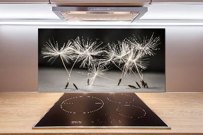 Cooker splashback Dandelion seeds