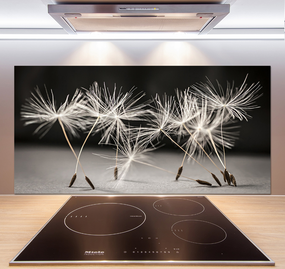 Cooker splashback Dandelion seeds