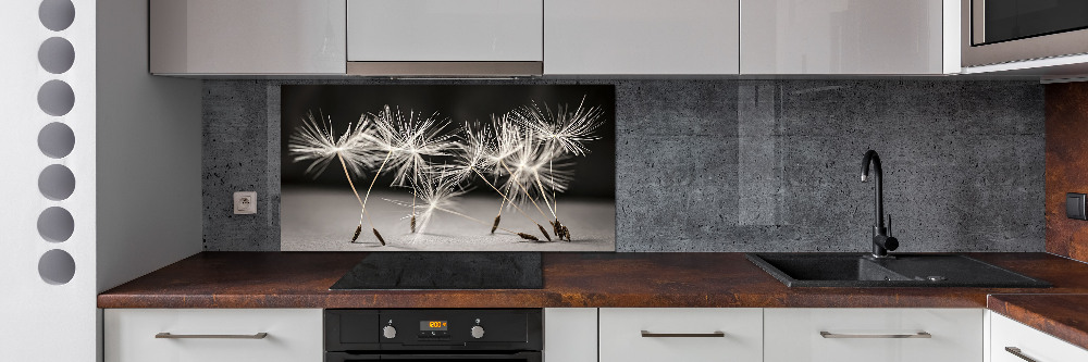 Cooker splashback Dandelion seeds