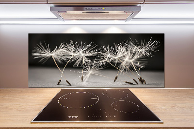 Cooker splashback Dandelion seeds