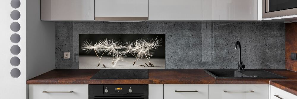 Cooker splashback Dandelion seeds