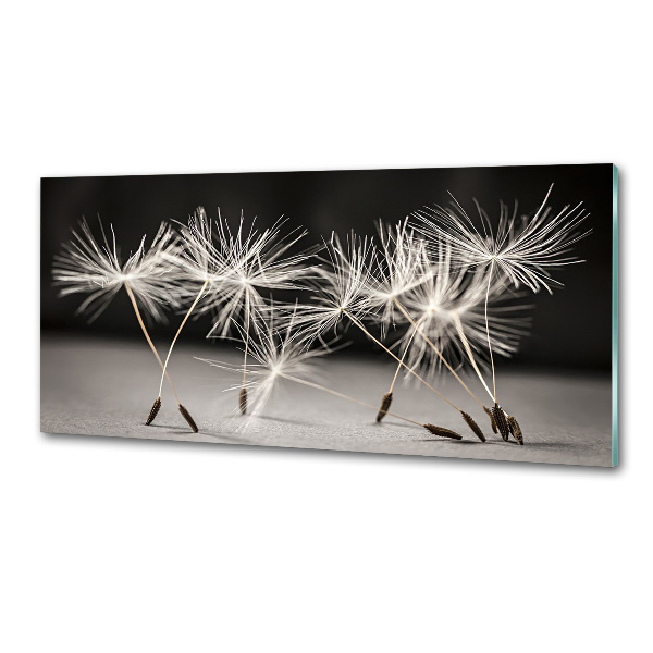 Cooker splashback Dandelion seeds