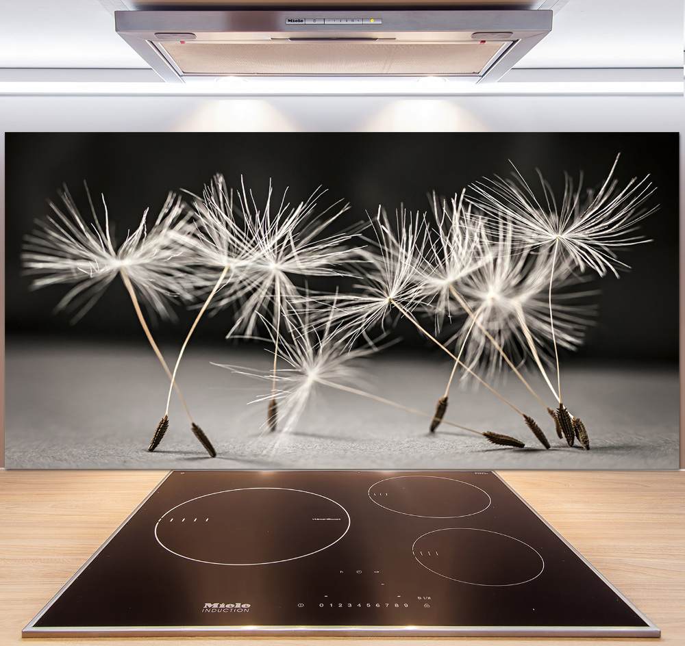 Cooker splashback Dandelion seeds