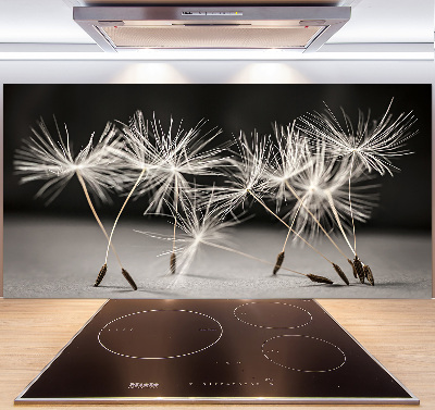 Cooker splashback Dandelion seeds