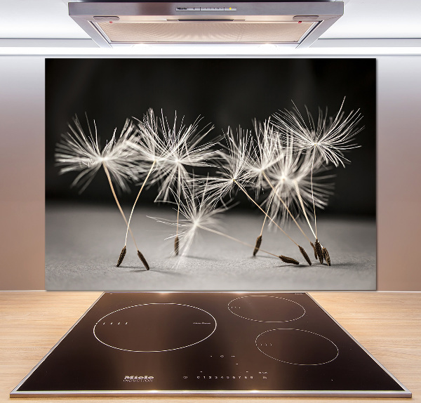 Cooker splashback Dandelion seeds