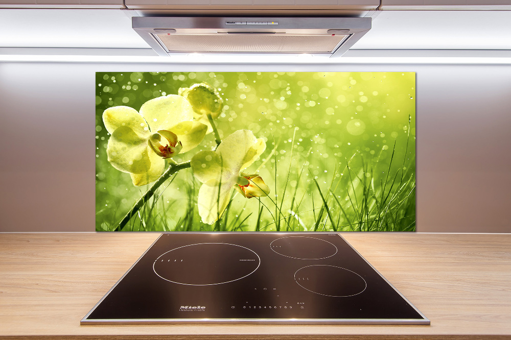 Cooker splashback Orchid