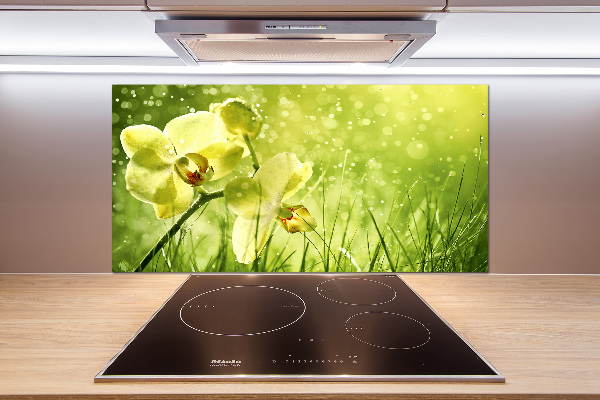 Cooker splashback Orchid