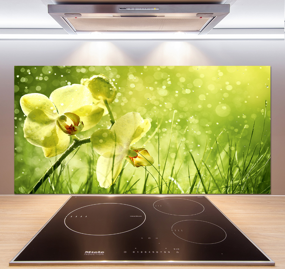 Cooker splashback Orchid