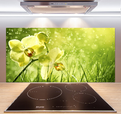 Cooker splashback Orchid