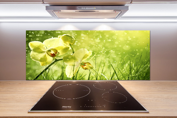 Cooker splashback Orchid