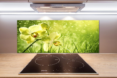 Cooker splashback Orchid