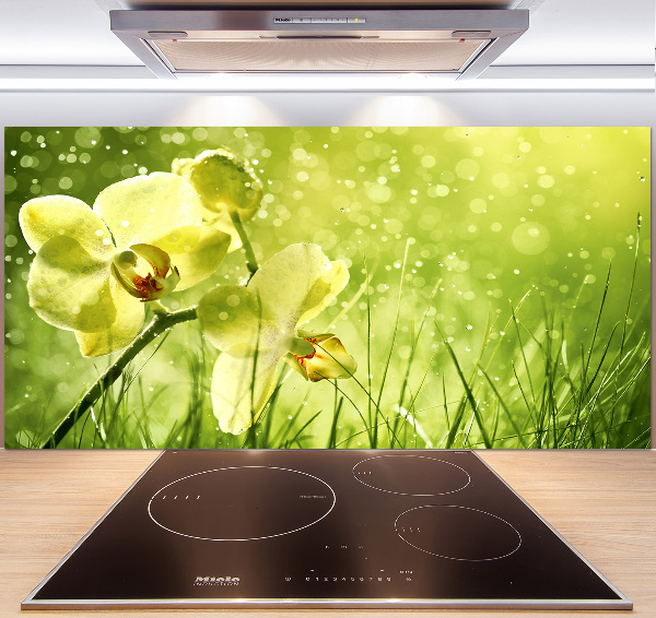 Cooker splashback Orchid