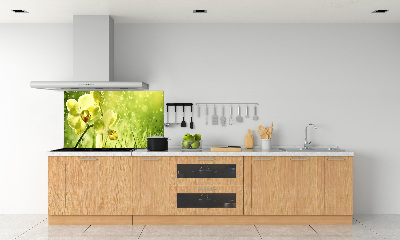 Cooker splashback Orchid