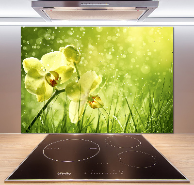 Cooker splashback Orchid