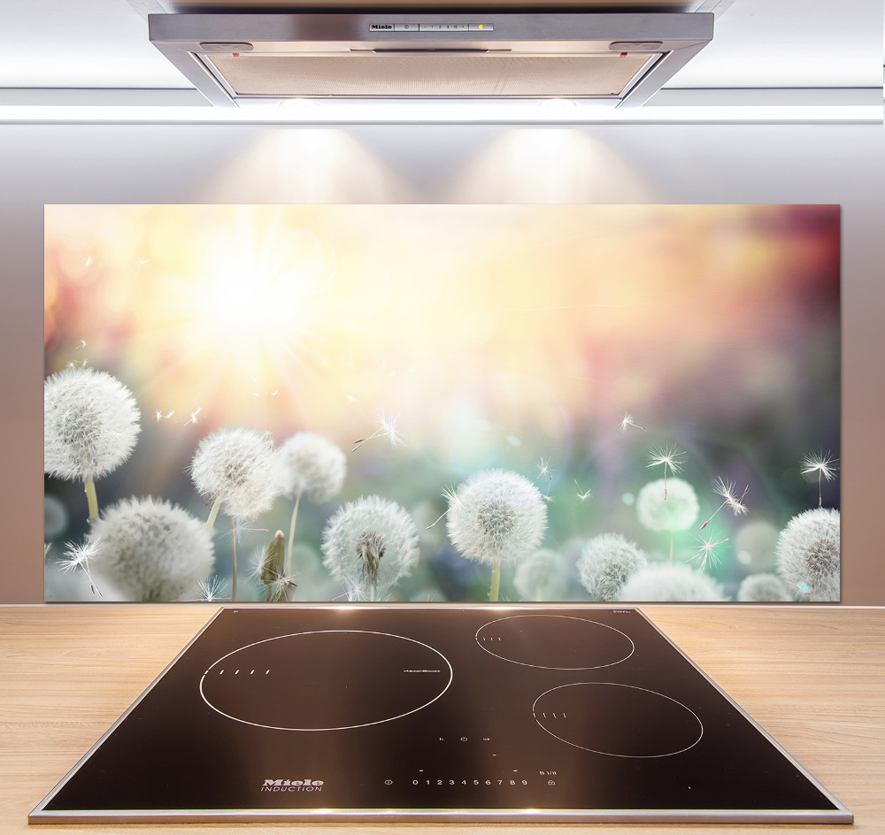 Cooker splashback Dandelis pole