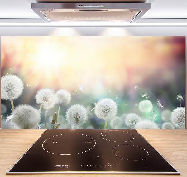 Cooker splashback Dandelis pole