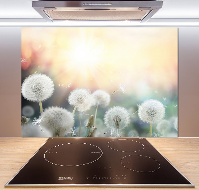 Cooker splashback Dandelis pole