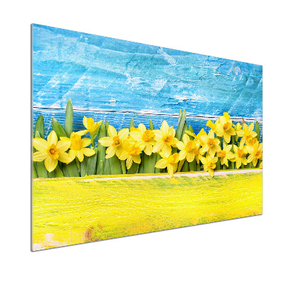 Cooker splashback Daffodil