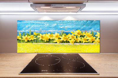 Cooker splashback Daffodil