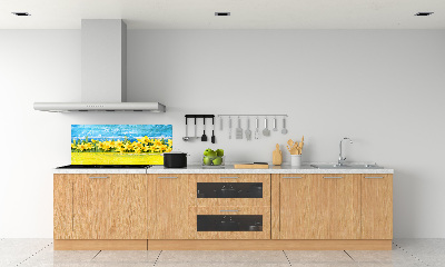 Cooker splashback Daffodil