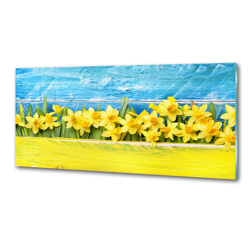 Cooker splashback Daffodil