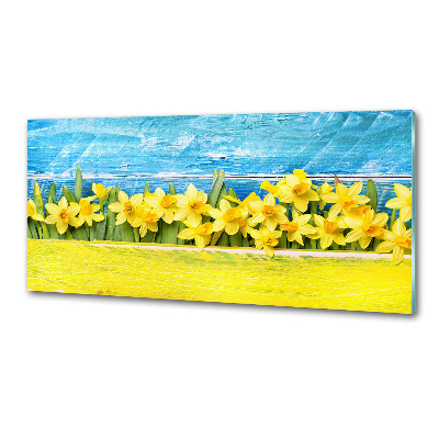 Cooker splashback Daffodil