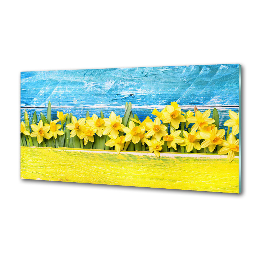 Cooker splashback Daffodil