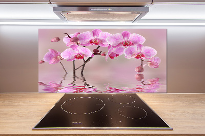 Cooker splashback Pink orchid