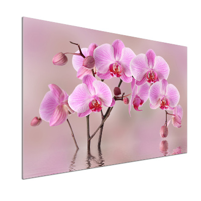 Cooker splashback Pink orchid