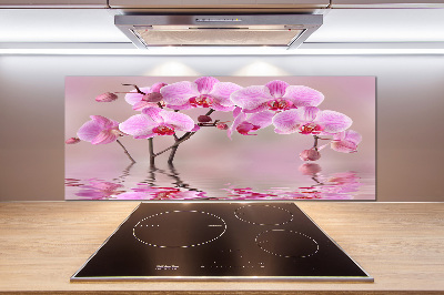 Cooker splashback Pink orchid