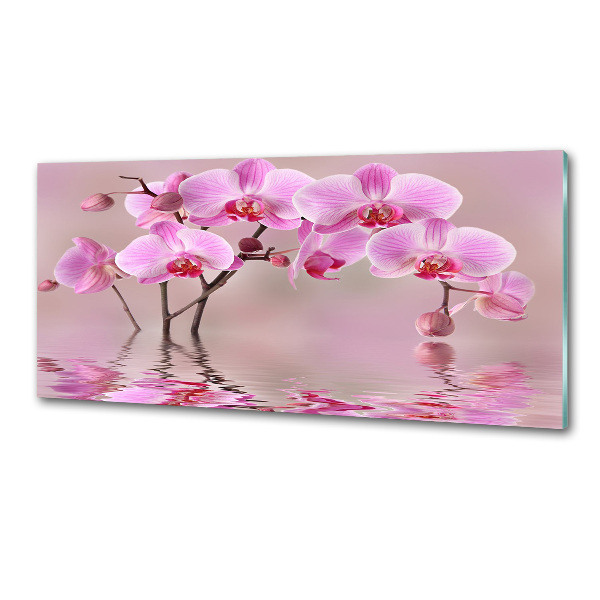 Cooker splashback Pink orchid