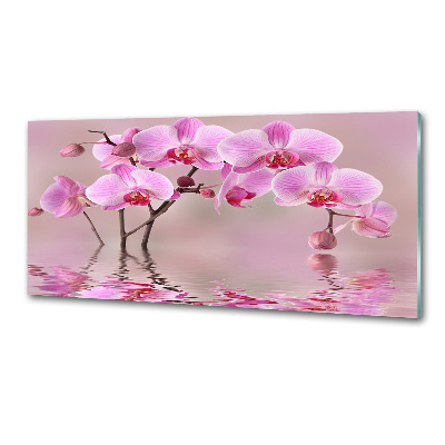 Cooker splashback Pink orchid