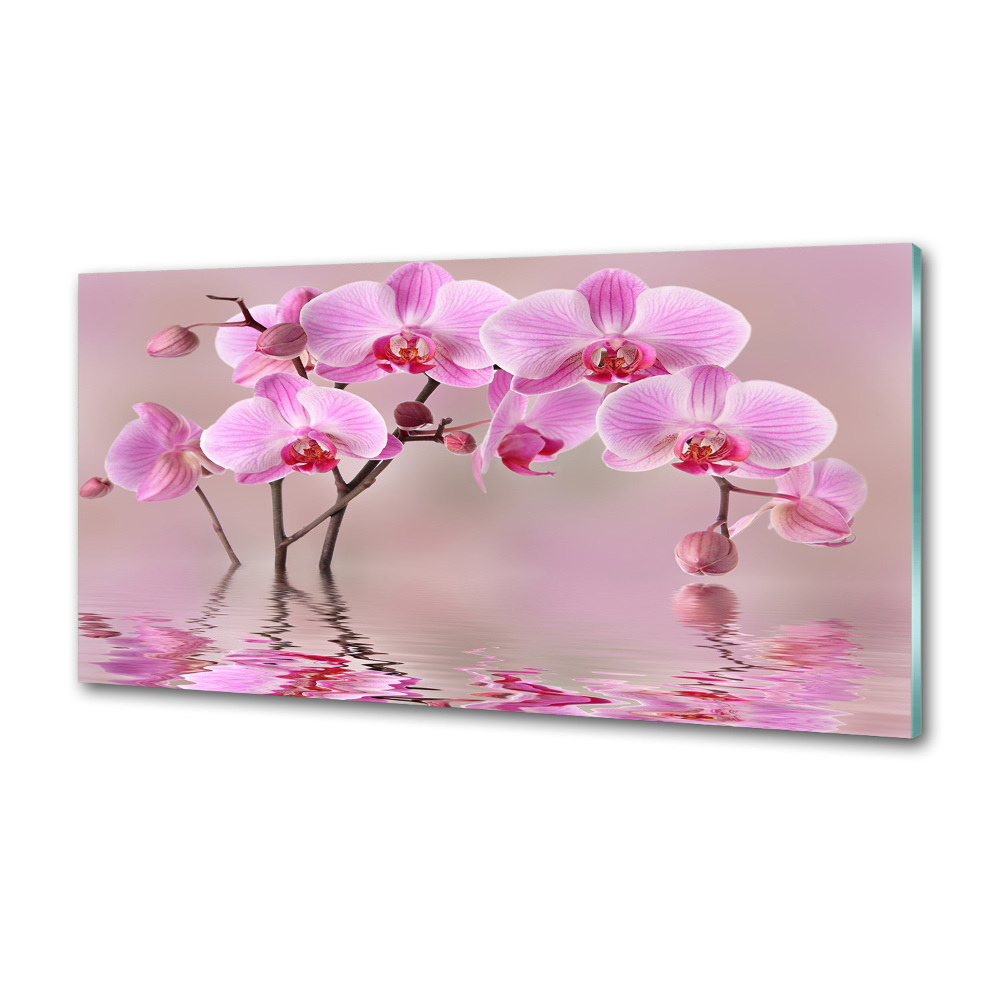 Cooker splashback Pink orchid