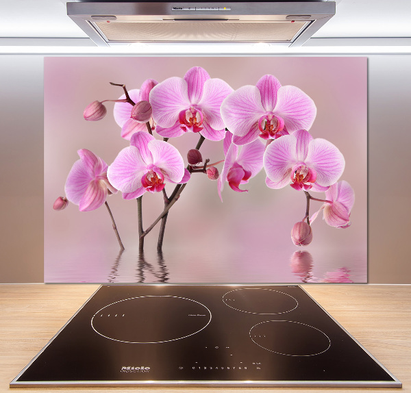 Cooker splashback Pink orchid